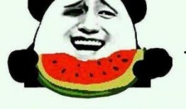 睿智吃瓜群众,睿智吃瓜群众的智慧与趣味