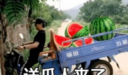 吃瓜段子文案,揭秘那些让人捧腹的吃瓜段子