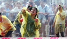 吃瓜齐飞,揭秘娱乐圈的欢乐与争议