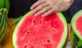 女子拍摄学院吃瓜,揭秘校园生活趣味瞬间