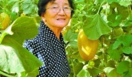 吃瓜.中国程女士,吃瓜界的风云人物