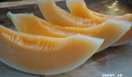 南疆蜜瓜怎么吃,尽享夏日甜蜜时光