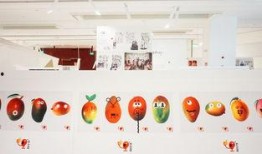 梅溪吃瓜,揭秘娱乐圈那些不为人知的幕后故事