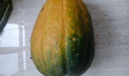 梦见自己摘大瓜吃,揭秘摘大瓜吃的神秘寓意