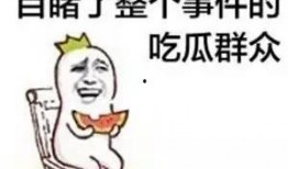 认真做个吃瓜群众,见证娱乐圈风云变幻的旁观者