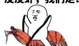 吃瓜视频套路大全