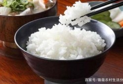 梦到吃瓜吃米饭好不好,吃瓜吃米饭的吉凶预兆