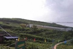 沂水吃瓜群众们事件,网络舆论下的社会现象解析