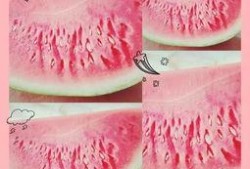 鹤壁霸凌瓜吃瓜