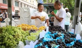 兰州吃瓜事件照片视频,一场网络热议背后的真相与反思