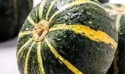 长垣吃瓜爆料大全,揭秘当地热点事件背后的真相