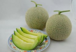 真实家庭吃瓜,见证一家人的甜蜜时光