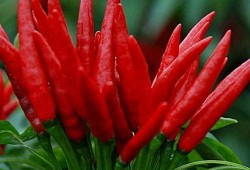 yoto链接吃瓜,吃瓜群众必看的幕后故事