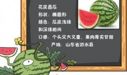 小说推荐热情吃瓜,跟随热情吃瓜，探索奇幻文学世界