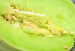 魔都吃瓜视频,揭秘都市生活里的热点事件与幕后真相