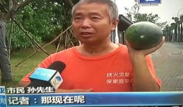巴东吃瓜热点事件