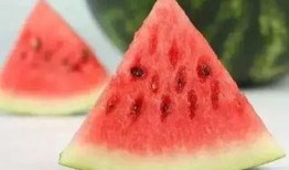 夏天吃瓜冬天吃瓜,尽享时令美味