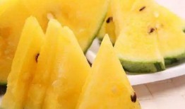 吃瓜.中国程女士,吃瓜界的风云人物