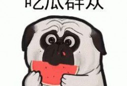 吃瓜的大胖,揭秘娱乐圈那些不为人知的幕后故事