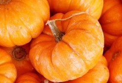 吃南瓜能吃茭瓜吗,能否共享餐桌？