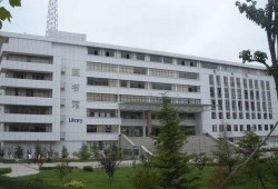 青岛恒星科技吃瓜,揭秘校园里的“吃瓜”风云