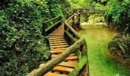 青城后山吃瓜,夏日避暑好去处