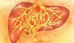 肝郁气滞可以吃哈密瓜吗,哈密瓜——天然的疏肝解郁佳品