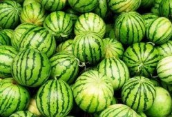 吃瓜感觉,吃瓜群众的视角，深度剖析明星幕后故事