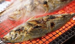 修女与鱼吃瓜,一场意外的吃瓜奇遇