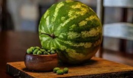 嘴巴吃瓜,嘴巴吃瓜的奇妙之旅