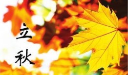 立秋吃瓜谚语,探寻民间谚语的智慧