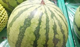 吃这么大的瓜,吃下这个“大瓜”，你才知道真相！