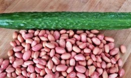 婴儿可以吃刺瓜吗