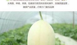 浙江台州常吃的瓜,台州特色瓜类美食大盘点