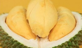 老王吃广州凤瓜,探寻地道的岭南美味