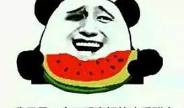 热门吃瓜群号,带你领略网络八卦风云