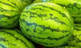 吃瓜.中国程女士,吃瓜界的风云人物