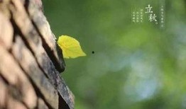 立秋吃瓜谚语,探寻民间谚语的智慧