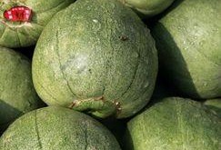 早晨空腹吃瓜,揭秘健康饮食新风尚