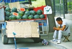 吃瓜的郑州人,郑州“吃瓜群众”的日常生活剪影