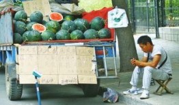 吃瓜的郑州人,郑州“吃瓜群众”的日常生活剪影