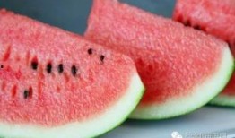 风遇吃瓜,一场别开生面的夏日盛宴