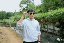 白云吃瓜,揭秘娱乐圈的甜蜜与苦涩