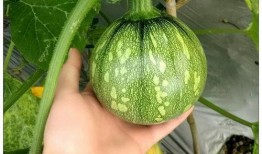 小弈吃瓜,揭秘娱乐圈那些不为人知的幕后故事