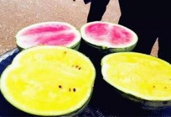 拖米吃瓜爆料,揭秘娱乐圈背后的惊人真相