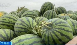 吃社会瓜,吃瓜群众眼中的明星生活