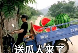 吃瓜汪峰文案,娱乐圈幕后真相大曝光