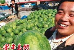 吃瓜大田,揭秘娱乐圈背后的那些事儿