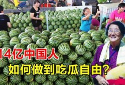 去日本吃瓜视频,一场别开生面的“吃瓜”之旅