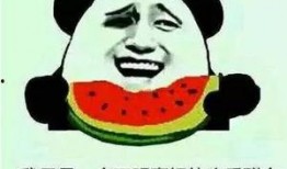 认真做个吃瓜群众,见证娱乐圈风云变幻的旁观者